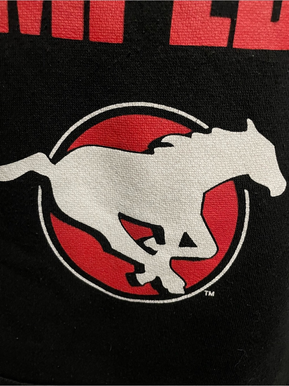 Calgary Stampeders Black Hoodie Men’s Large - Picture 5 of 8